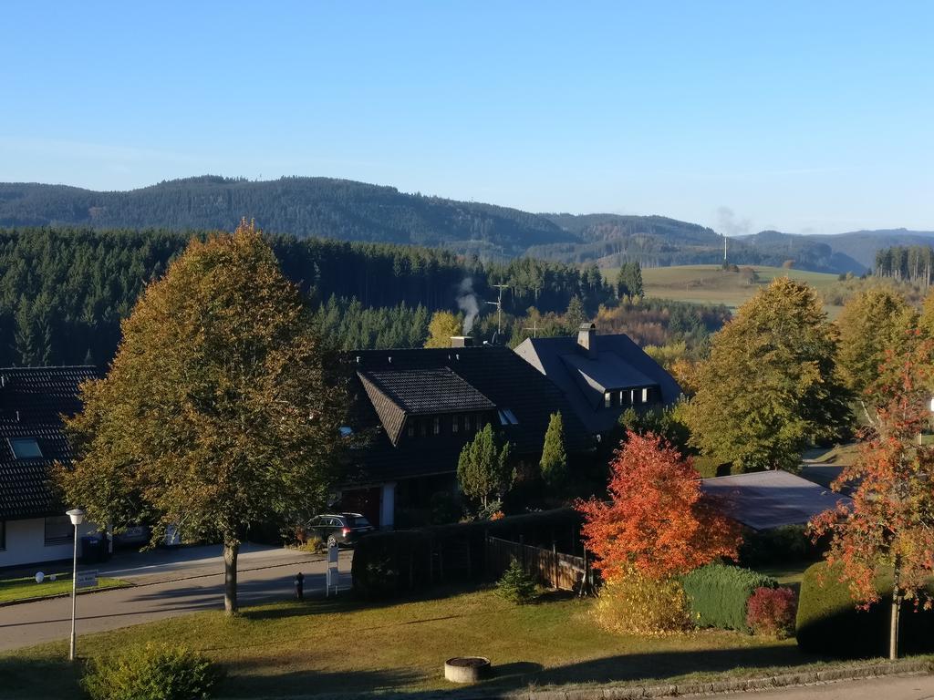 Appartement mit Südbalkon im Haus Feldbergblick in Kappel - Appartement 37 Lenzkirch Exterior foto