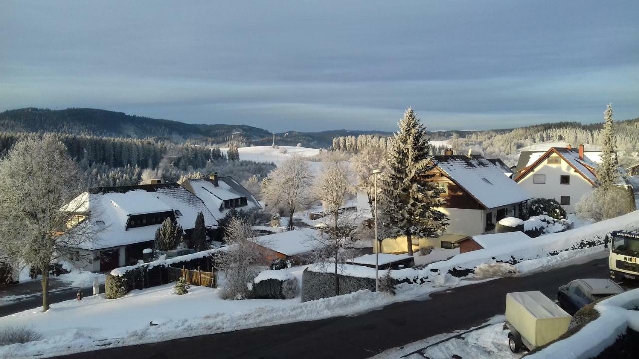 Appartement mit Südbalkon im Haus Feldbergblick in Kappel - Appartement 37 Lenzkirch Exterior foto